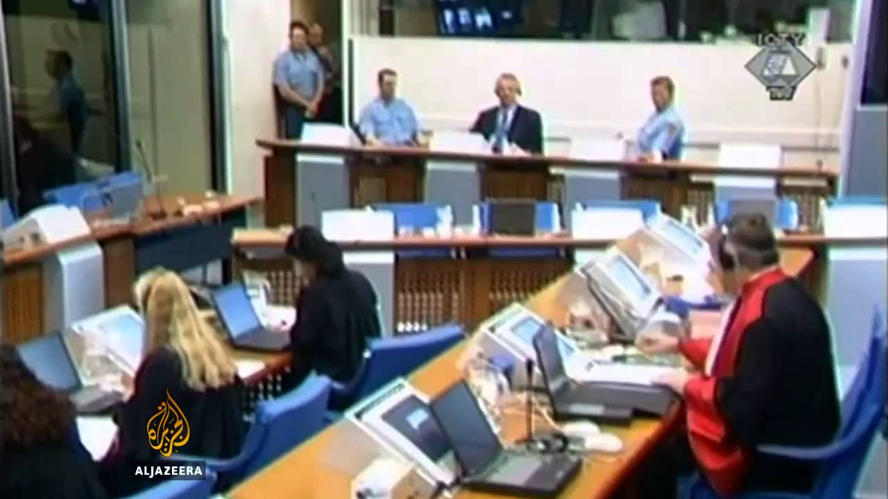 ردود الفعل على الإفراج المؤقت عن شيشيل