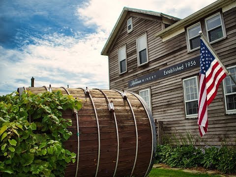 ამანას კოლონიები ნაწილი 2 | ქეთი ჯიბლაძე