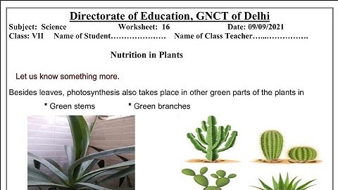 class-7|Doe science worksheet-16|Date-9/9/21 ‎@mathssolutionswithrosemaam4136