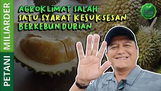AGROKLIMAT YANG TEPAT SALAH SATU SYARAT KESUKSESAN BERKEBUN DURIAN YANTO TO MALANG| PETANI MILIARDER