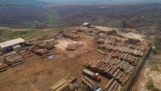 La déforestation s'intensifie en Amazonie brésilienne, malgré les promesses du gouvernement