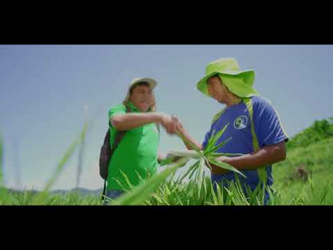 Elisur Organic, Beyond a trade