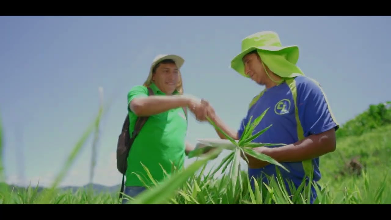 Elisur Organic, Beyond a trade