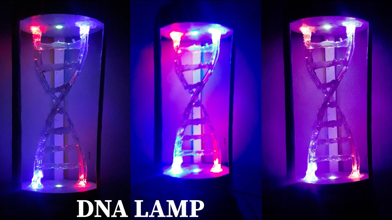 HOW TO MAKE NIGHT LAMP| DNA LAMP - YouTube