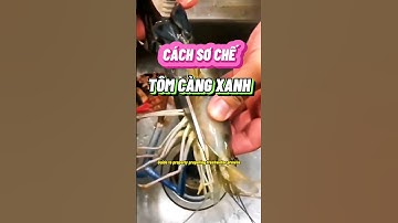 Cách sơ chế tôm càng xanh #haisan #shrimp #review #nhatrang