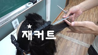 미용사(일반)_재커트