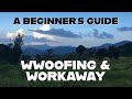 WWOOFING + WORKAWAY ADVICE | My Experiences in Hawaii, Spain and Thailand