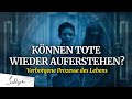 Was passiert in den ersten 14 Tagen nach dem Tod?