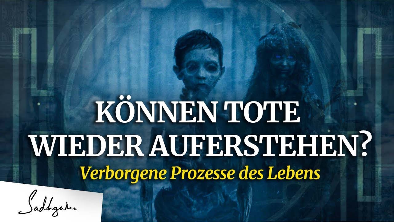 Was passiert in den ersten 14 Tagen nach dem Tod? YouTube Was passiert in den ersten 14 Tagen nach dem Tod? YouTube