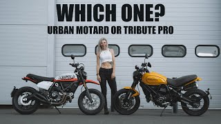 2022 Urban Motard and Tribute Pro Ducati Scrambler / Comparison / Review by Tomboy a bit