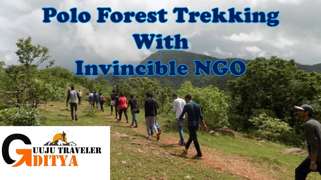 invincible tour polo forest