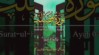 Best Translation of Surah Fussilat __By ISLAMIC_NATURE.1 __#foryou #islamic_video