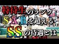 【神待遇】【SS特待生】って知ってる人いる?