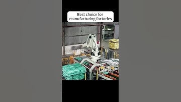 Double-station palletizing robot. #machine #roboticpalletizer #palletizer #robotics #palletizing