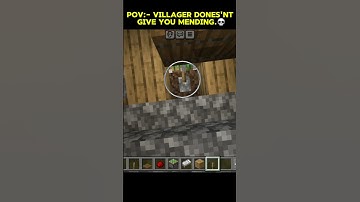 POV: When the Villager STILL Won’t Give You Mending 😑📚