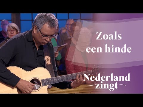 Video: Zal een hinde een verweesd reekalf nemen?