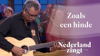 Video thumbnail of "Zoals een hinde - Nederland Zingt"