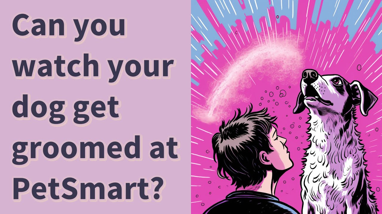 Can You Watch Your Dog Get Groomed At PetSmart YouTube can-you-watch-your-dog-get-groomed-at-petsmart-youtube