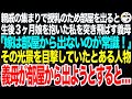 親戚の集まりで授乳のため別室移動すると、生後３ヶ月娘を抱いた私を突き飛ばす義母「嫁は部屋から出るな！皆の側で控えているのが常識！」その光景を目撃したある人物は義母が部屋から出ようとすると…【スカッと】