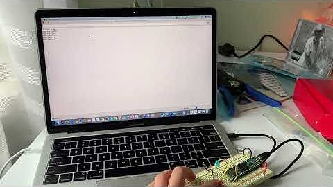 Digital Lab: Serial Monitor Demo w/ Blue Light