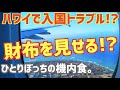 【ハワイでトラブル続く!? / テレビで放送されないハワイ / 4K】 ANA A380 フライングホヌ カウチシート ハワイの税関でもトラブル どれだけ怪しい人に見えたのかな?