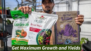 Fertilizer for vegetable garden #organic  ( Works 100% ) For Beginners #garden #plants