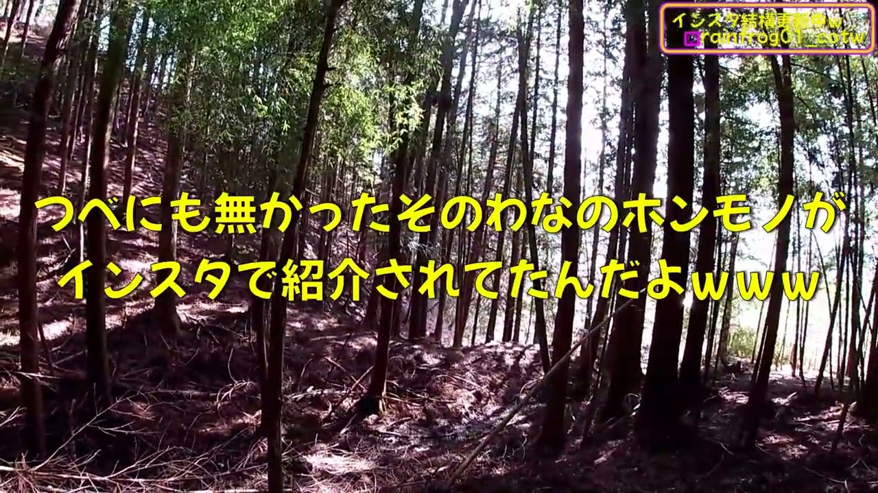 （海外のトラップワークはパねぇｗ）変態忍者の、有害鳥獣駆除従事活動記・その３６４