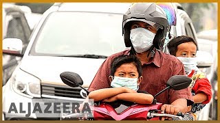 Indonesia fires: Palm oil companies accused of starting blazes