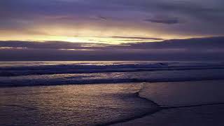 السيدة فاطمة رضي الله عنها   تقديم الشيخ محمد سيد حاج رحمه الله