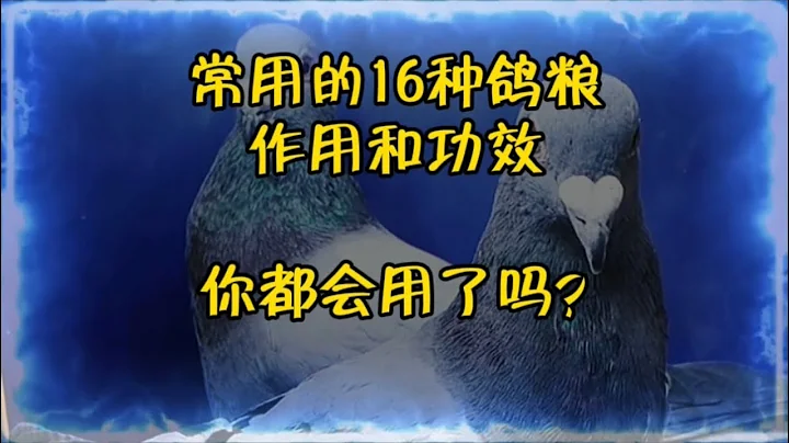 【赛鸽经验分享】常用的16种鸽粮作用和功效，你都知道了吗？ - 天天要闻