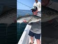 big Phil and a nice striper