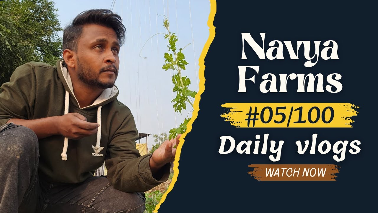 Day 05/100 Daily vlog | थकान के बाद दिन की नई शुरुआत | दूध कलेक्शन से खेत की सिंचाई तक