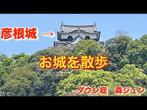 ダウン症森ジュン彦根城に行く!お城を目指して散歩#downsyndrome #彦根城#ひこにゃん