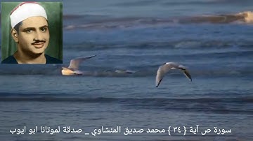 ولقد فتنا سليمان وألقينا على كرسيه جسدا ثم أناب _ سورة ص آية ٣٤ _ المنشاوي