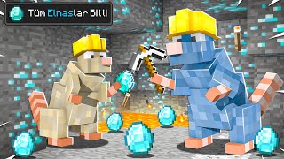 YENİ FAREM ELMAS BULUYOR - Minecraft