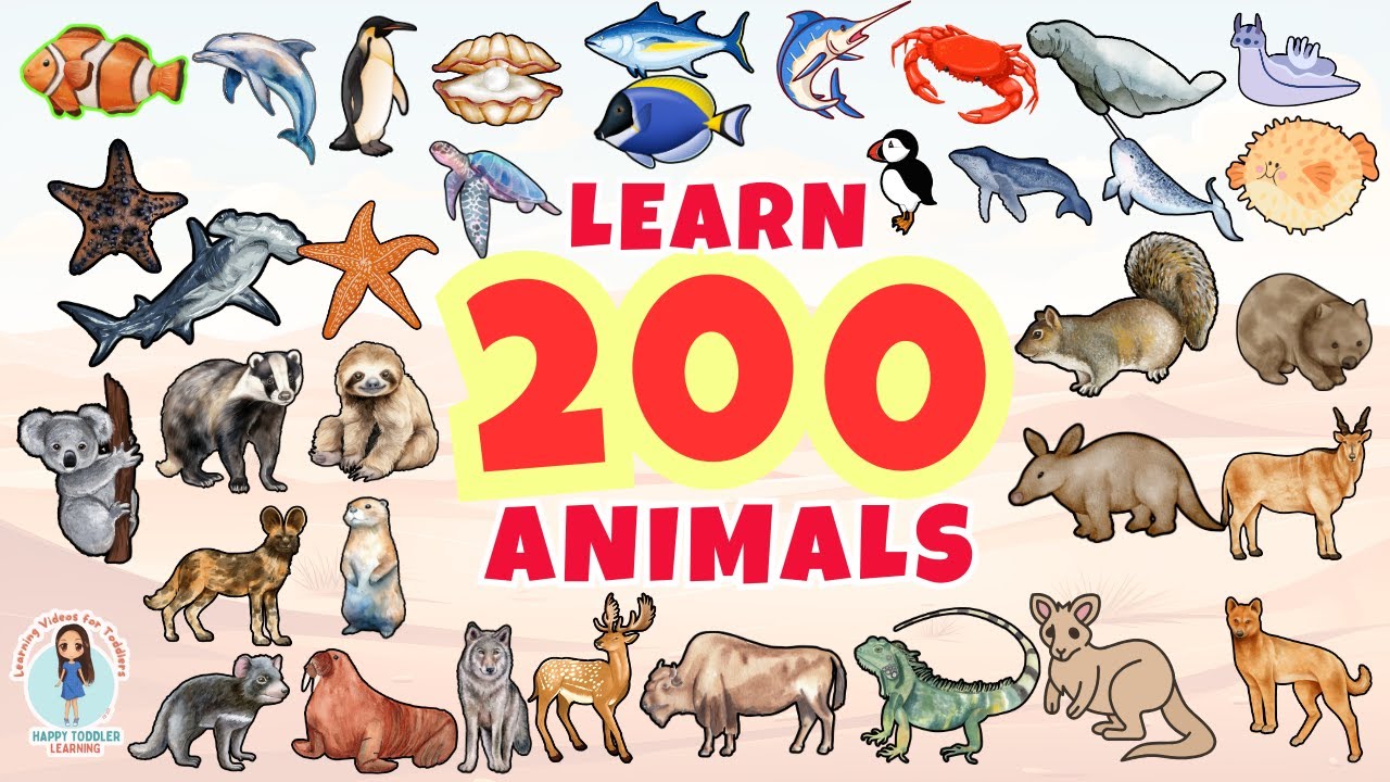 200 ANIMALS for Kids | 100 Sea or Water Animals | 100 Wild Animals | First Words for Babies