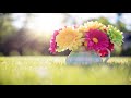 Relax,calm down with Bandari music-Good Morning Sunshine