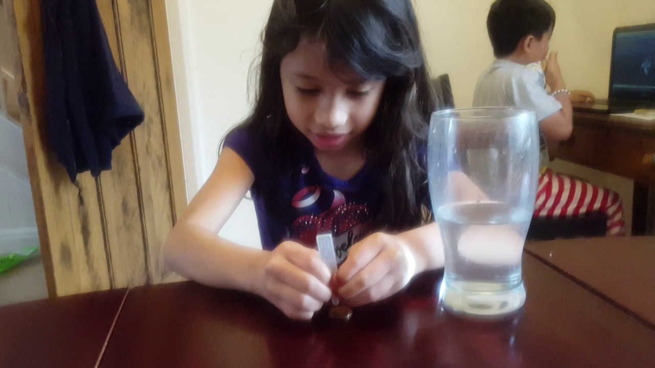 experiment 1 how many drops of water can a 1 penny hold? comment your