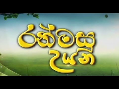 Ranmasu Uyana | 2025-04-20 | à¶šà·”à·…à·”à¶¶à¶©à·” à¶±à·’à·‚à·Šà¶´à·à¶¯à¶±à¶º