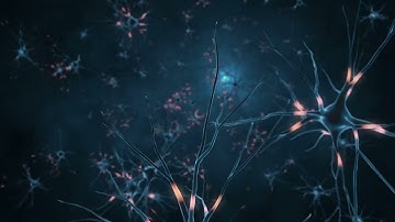 Human Body Neurones Background 4K VJ Loop Video | No Copyright Motion Background Video