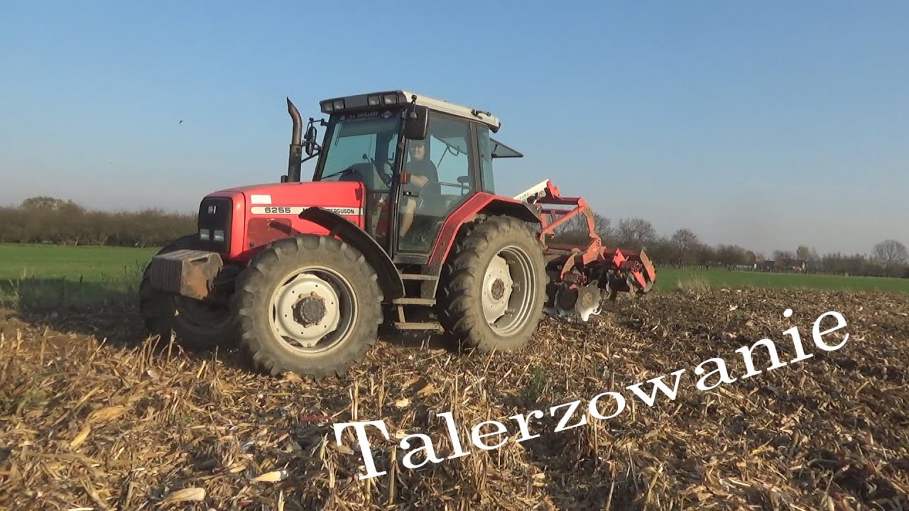 Talerzowanie po Kukurydzy - MF 6255/Grano System 3m