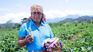 Today I Went To The Vegetable Farm To Help My Husband With His Work Village Kitchen Recipe