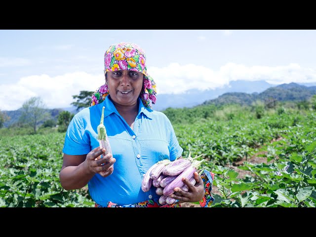 Today I went to the vegetable farm to help my husband with his work. .village kitchen recipe class=