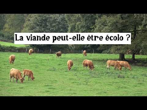Can meat be eco-friendly?