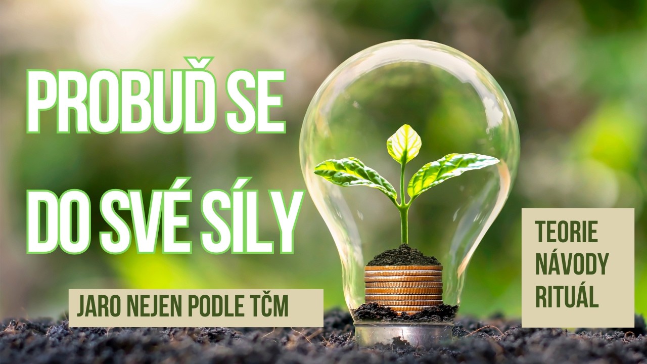 Probuď se do své síly