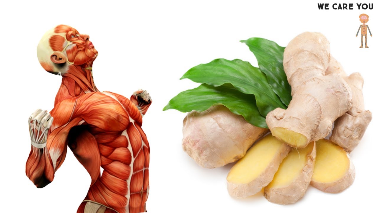 What Ginger Does To Your Body (Dont Miss This ) YouTube