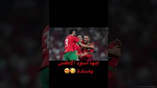 أجمل صور أسود الأطلس 😍😍#maroc #fifa #football