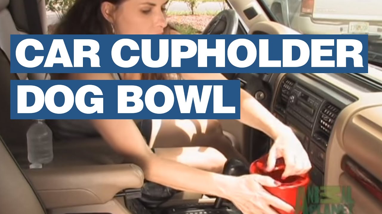 To Go Bowl Dog Travel Water Bowl Fits Into Cars Cupholder YouTube
