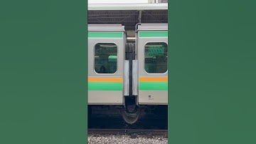 E231系1000番台 流しノッチ・ジョイント音