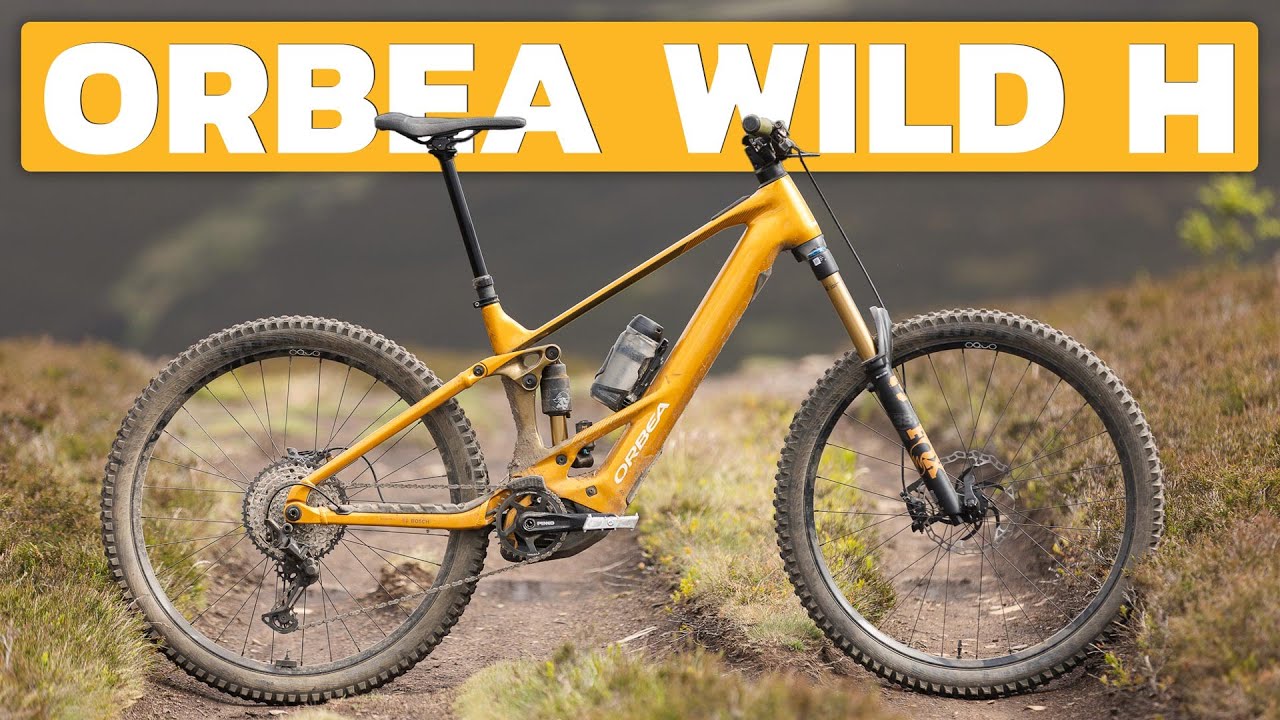 Long Term Review: The Alloy Orbea Wild H | The Loam Wolf
